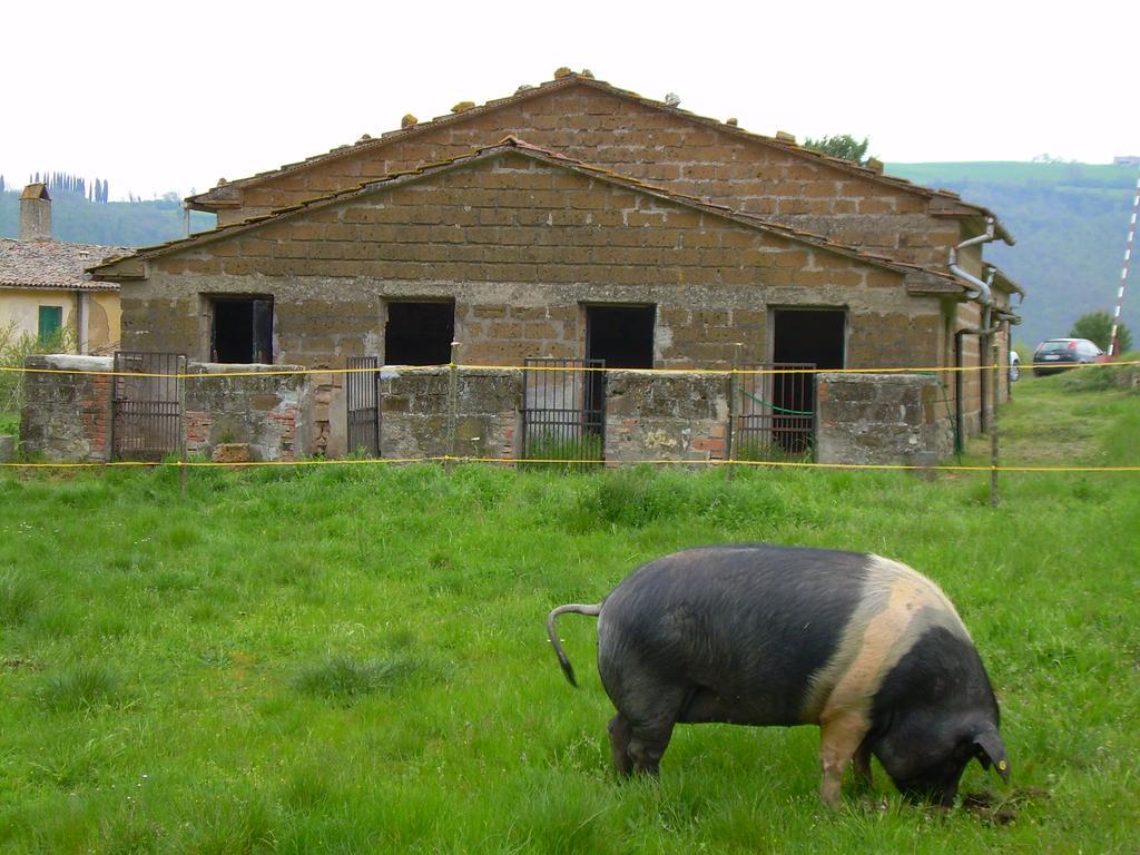Agriturismo Le Roghete Acquapendente Exteriör bild