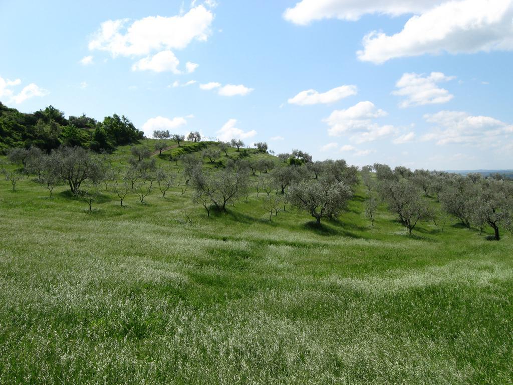 Agriturismo Le Roghete Acquapendente Exteriör bild
