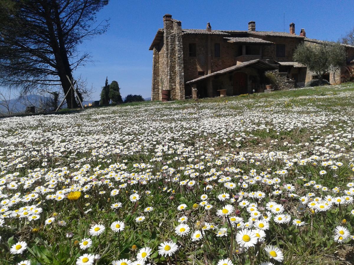 Agriturismo Le Roghete Acquapendente Exteriör bild